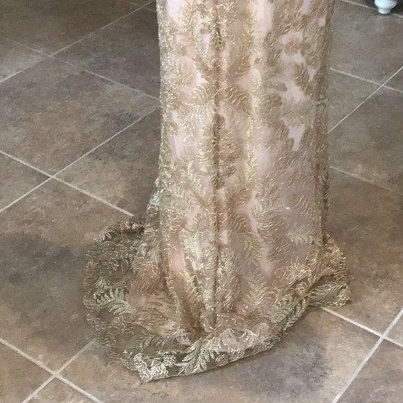 Tadashi Shoji gown, gold lace over blush shell, back zip, v back, size 14, NWT - Picture 9 of 12